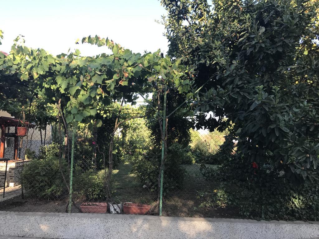 Guesthouse Planinsko Gnezdo Tuzha Luaran gambar