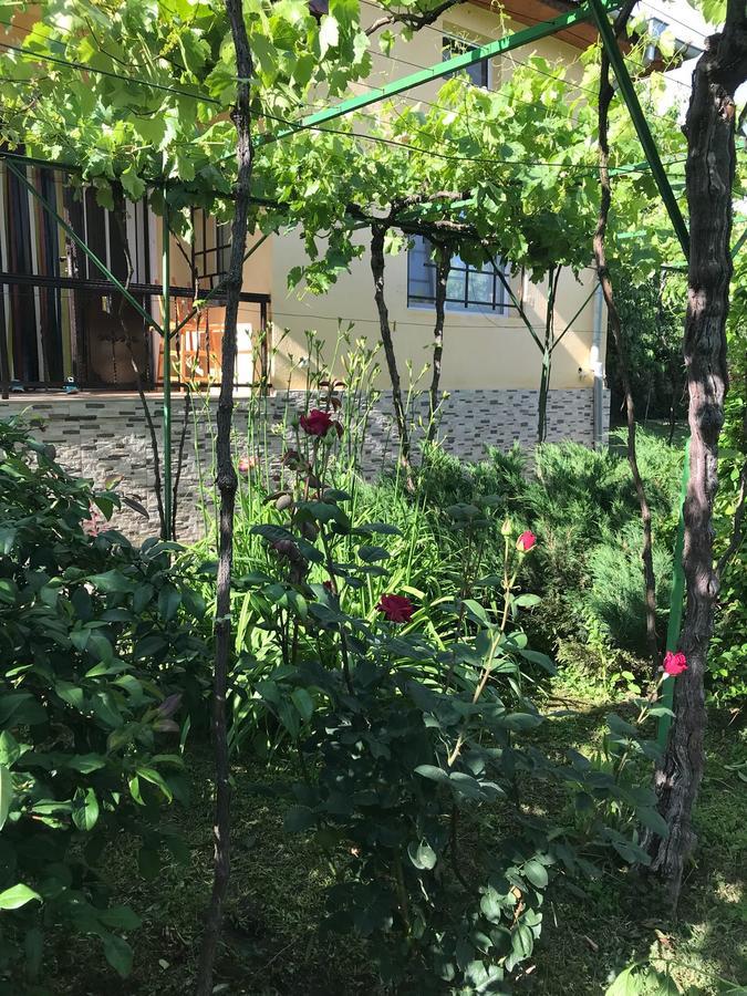 Guesthouse Planinsko Gnezdo Tuzha Luaran gambar