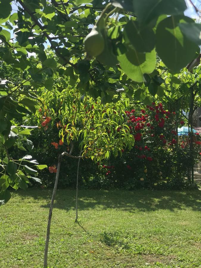 Guesthouse Planinsko Gnezdo Tuzha Luaran gambar
