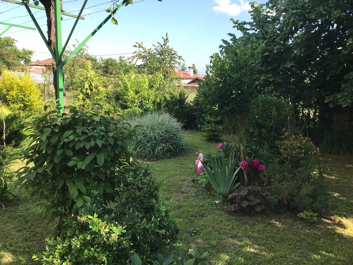 Guesthouse Planinsko Gnezdo Tuzha Luaran gambar